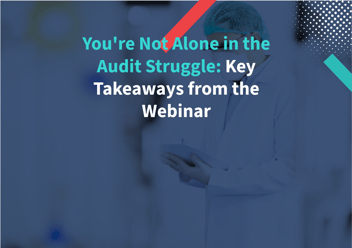Audit Struggle Webinar Feature image on Nvolve Blog