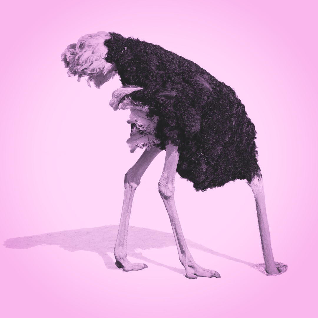 ostrichSand1 (1)